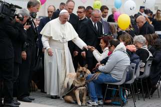 Pope Francis greets visually impaired people, accompanied by their dogs, during his general audience in St. Peter&#039;s Square at the Vatican Oct. 18