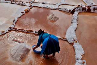  A Peruvian woman is seen working at the Maras saltern, a hypersaline environment in the Peruvian Andes. 