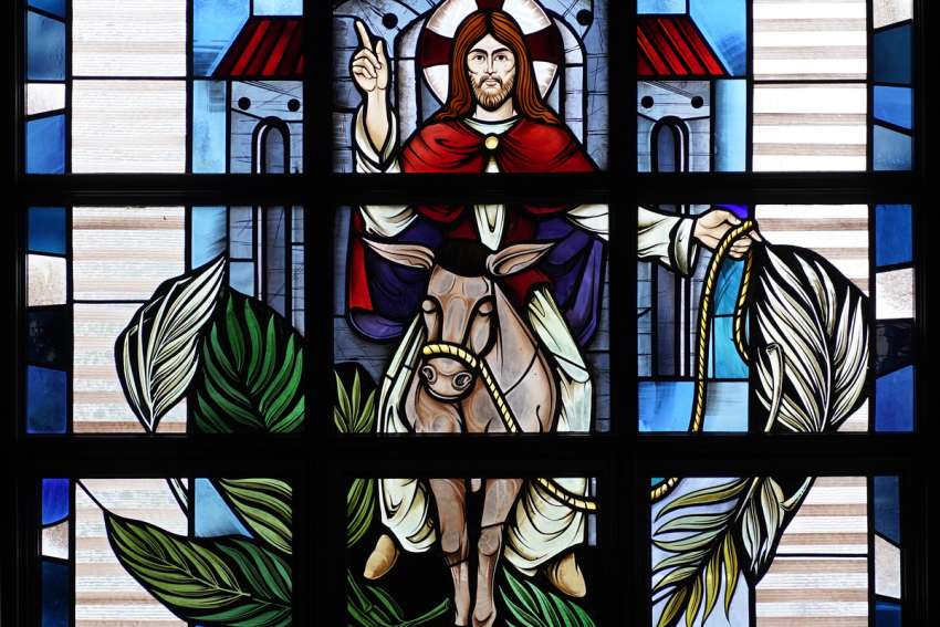 Christ&#039;s entry into Jerusalem prior to his crucifixion is depicted in a stained-glass window at Assumption of the Blessed Virgin Mary Church in Centereach, N.Y. Palm Sunday, also known Passion Sunday, commemorates the event and marks the beginning of Holy Week. It is observed March 24 in 2024.