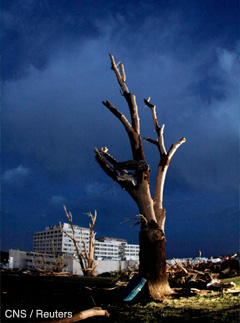 A bare tree stripped of its branches and leaves is seen near St. John's Regional Medical Center. At least 89 people died and thousands of structures were wiped out in the monster tornado.