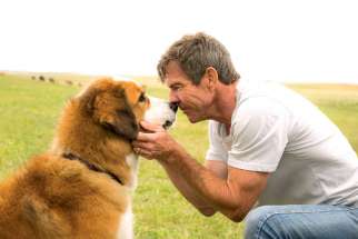Dennis Quaid stars in a scene with a dog named “Buddy” in the movie, &#039;A Dog’s Purpose.&#039;