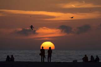 People sit on the beach and watch the sun set as seagulls fly over head in Santa Monica. On Thursday, California&#039;s physician-assisted dying law, passed in 2015, will come into effect.