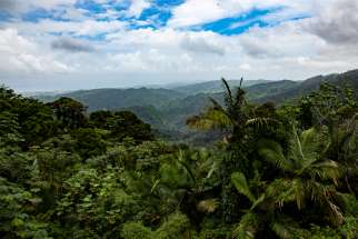 El Yunque National Forest is seen in this 2012 file photo. This year&#039;s Earth Day, April 22, marks the 50th anniversary of the observance.