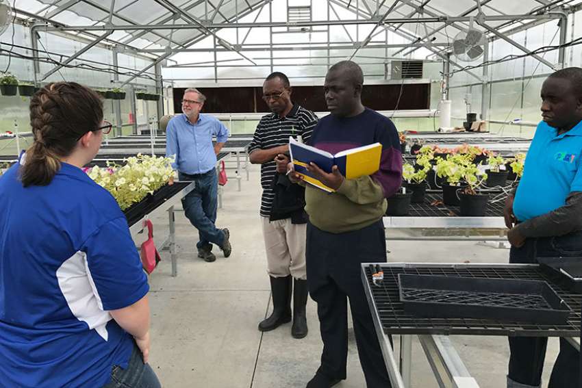 A delegation from Uganda tours a greenhouse June 6 at Paris High School in St. Paris, Ark. Pictured from left are: Paris agriculture teacher Nicole Beirne; Bruce White, Catholic Relief Services project director; George Ntibarikure, agriculture adviser for CRS in Uganda; Mathias Mutema Mulumba with the National Curriculum Development Center; and Ronald Ddungu, deputy head teacher at the Gayaza Girls High School in Uganda.