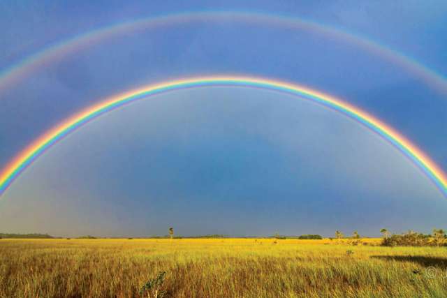 In stories that begin and end the Bible there appears a rainbow. They are powerful symbols of our Christian faith.