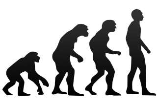 Why some evangelicals changed their minds about evolution