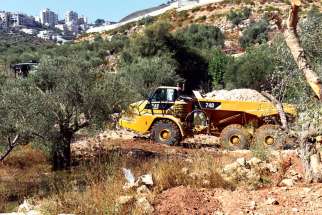 Israeli heavy equipment loads an olive tree after it was uprooted to to make way for the controversial separation barrier in the Cremisan Valley in Beit Jalla, West Bank, Sept. 3.