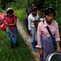 Women flee Nam Lim Pa village for the jungle in Kachin state in the far north of Myanmar in this photo dated Oct. 19, 2012. The Canadian Catholic Organization for Development and Peace (D&amp;P) is not ready yet to commit $50,000 to help internal refugees in Myanmar despite earlier reports.