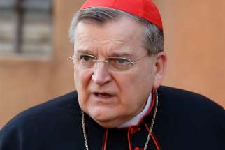 U.S. Cardinal Raymond L. Burke, a canon lawyer and former head of the Vatican&#039;s supreme court, is pictured in a 2014 photo.