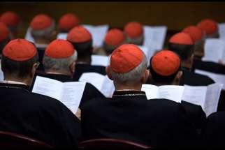 In this Oct. 20, 2014, file photo, cardinals gather in the Synod Hall at the Vatican. Church experts say synods should get more input from lay faithful.