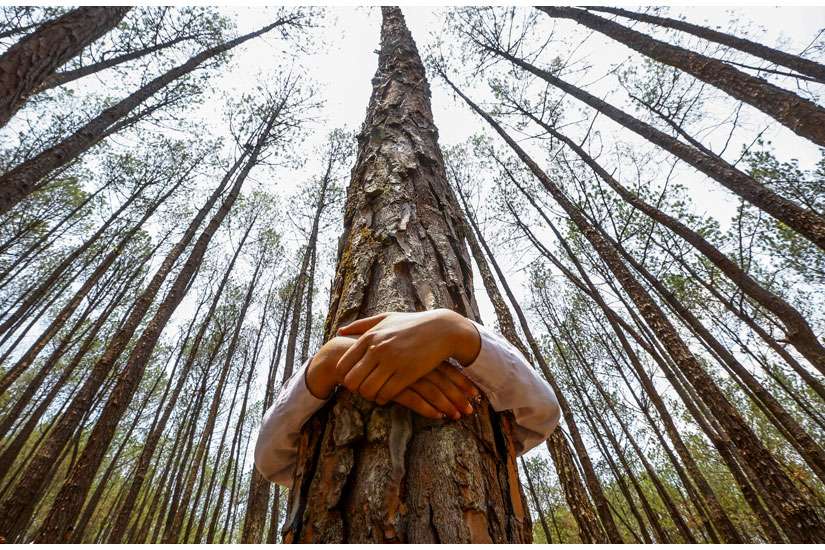 A man hugs a tree while celebrating World Environment Day in a forest in Nepal.