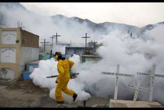 A health worker carries out fumigation as part of preventive measures against the Zika virus and other mosquito-born diseases at a cemetery on the outskirts of Lima, Peru. 