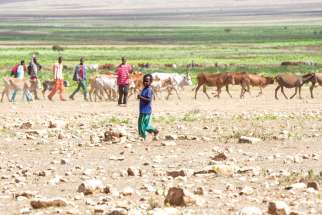 Even during what should have been the rainy season this summer, rural families struggled to find pasture for their herds outside Jijiga in eastern Ethiopia. Ethiopia is enduring its worst drought in 60 years.