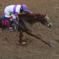 I’ll Have Another is pictured crossing the finish line to win the 2012 Kentucky Derby.