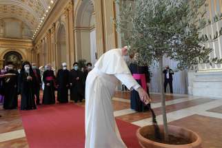 Pope Francis pours dirt into a potted olive tree during the meeting, “Faith and Science: Towards COP26,” with religious leaders in the Hall of Benedictions at the Vatican Oct. 4. The meeting was part of the run-up to the UN Climate Change Conference in Glasgow Oct. 31-Nov. 12.