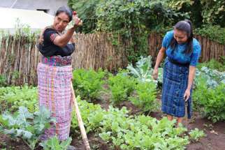 Julia Martinez of Momostenango, Guatemala, shows off a radish grown in the training garden of the SEGAMIL food security project sponsored by CRS, Caritas San Marcus and a local nongovernmental organization Oct. 7.