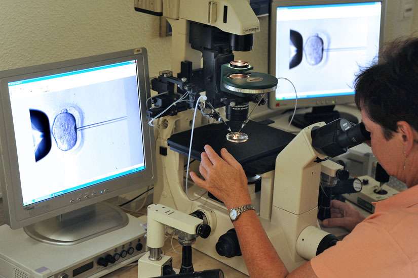 A lab director inspects the microinjection of sperm into an egg cell using a microscope in this July 2011 photo at an in vitro fertilization clinic. 