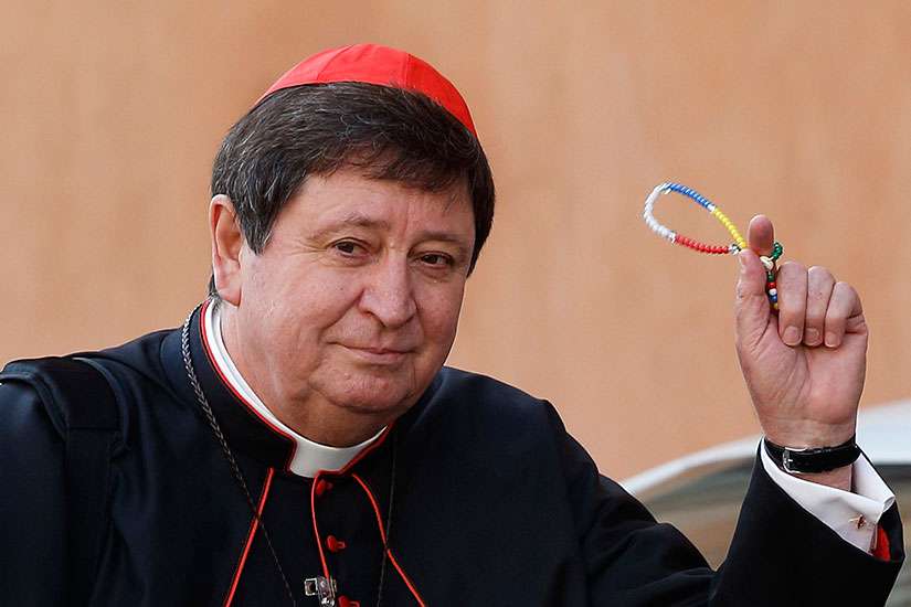 Cardinal Joao Braz de Aviz, prefect of the Congregation for Institutes of Consecrated Life and Societies of Apostolic Life, was scheduled to celebrate the year&#039;s opening Mass for the Year for Consecrated Life Nov. 30 in St. Peter&#039;s Basilica.