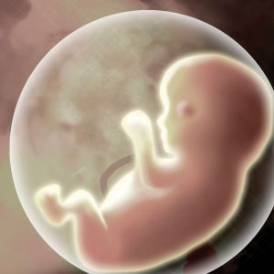 An illustration depicts a human fetus in a womb. 