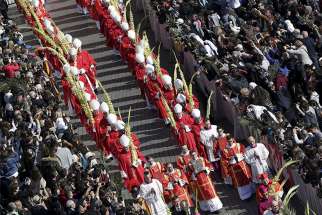 Cardinals hold palm branches at the start of the Palm Sunday Mass at the Vatican on March 20, 2016. Many of the Pope&#039;s latest cardinal appointments comes from countries and dioceses that has never had any representation in the College of Cardinals.