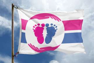 The international Pro-Life flag is pictured.