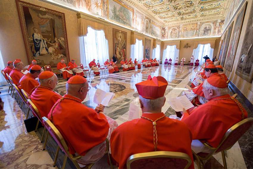 Cardinals are seen during a 2017 &quot;ordinary public consistory&quot; with Pope Francis at the Vatican. Pope Francis presided over the canonization ceremony of the Fatima visionaries during his visit to Portugal May 12-13, 2017.