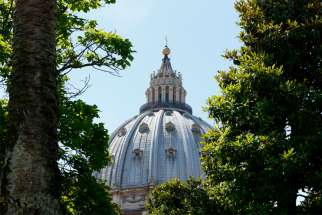 The dome of St. Peter&#039;s Basilica at the Vatican is framed by trees.