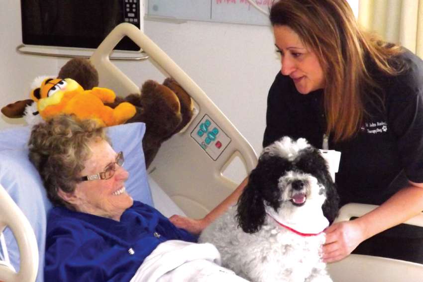 Harley and his handler, Anna Favuzza, make regular visits to Providence Healthcare in Toronto to brighten the lives of patients like  Mary Walsh. 