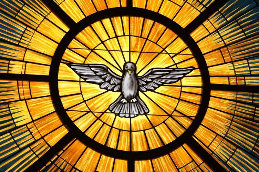 The Holy Spirit, traditionally depicted as a dove, is pictured in a stained-glass window at St. John Vianney Church in Lithia Springs, Ga..