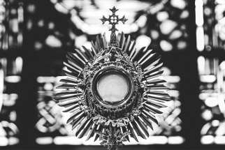 Speaking Out: The beauty of Adoration