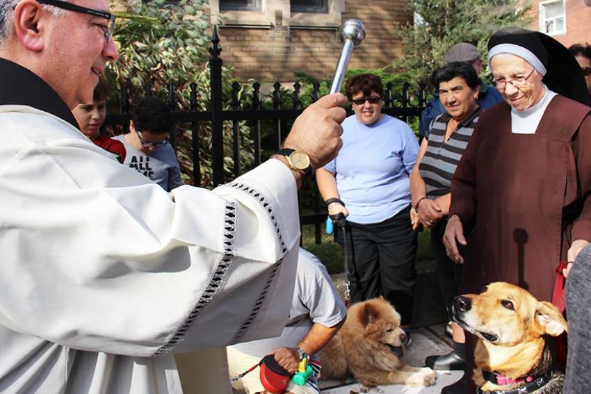 Fr. James Zammit blesses some of the animals at The Blessing of the Creatures Oct. 7 at Toronto’s St. Francis of Assisi Church. 