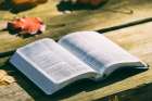 God&#039;s Word on Sunday: The Lord’s word is always at work