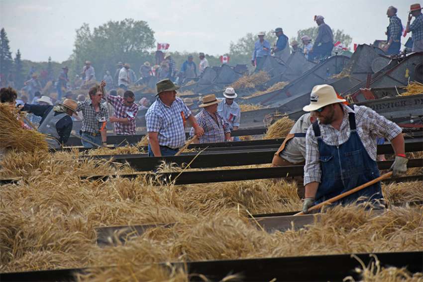 In Austin, Manitoba, 139 antique threshing machines set a new world record in support of the Foodgrains Bank in 2016.