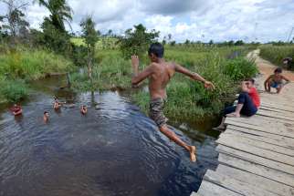 Children jump from a rickety bridge into a river near Anapu, in Brazil&#039;s northern Para state. This area was forest land until recent decades, when the expansion of the agrarian frontier led to the steady destruction of this part of the Amazon&#039;s rain forest.