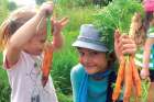 Olivia Stocking-Lopez, left, and her cousin Amy Stocking harvest some of the organic vegetables to be eaten during the Food Family Faith weekend retreat in Sharon, Ont.
