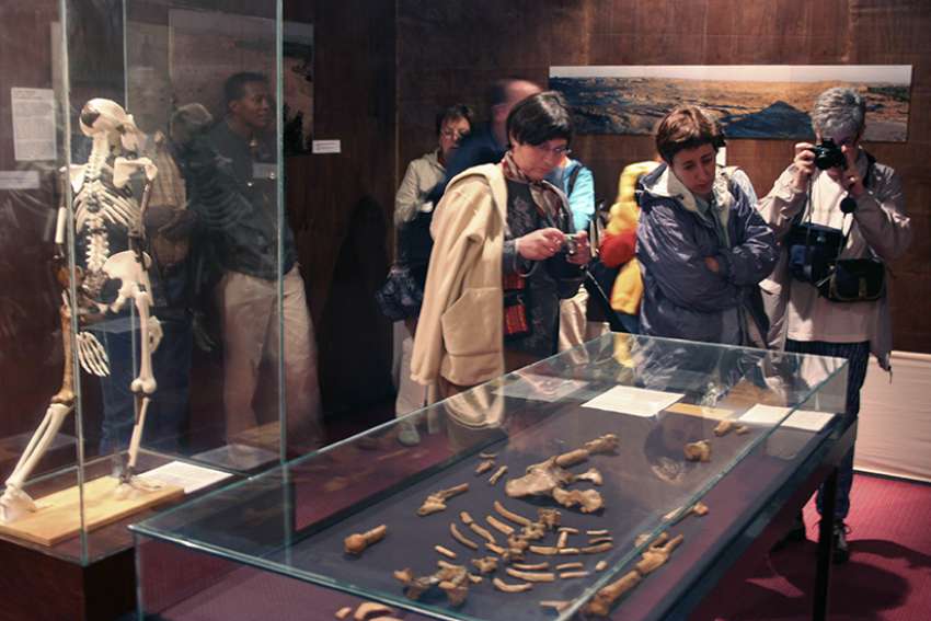 A group of Spanish tourists view a replica and reconstruction of the remains of a more than 3-million-year-old female hominid known as Lucy at the National Museum in Addis Ababa, Ethiopia, Aug. 7, 2007.