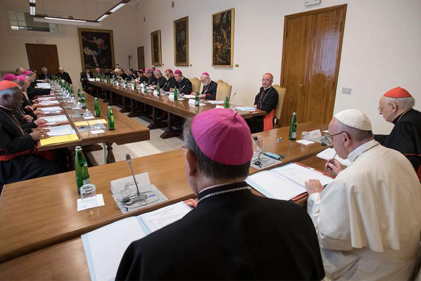  Pope Francis meets with members of the preparatory council for the Synod of Bishops for the Amazon region at the Vatican in this photo dated April 12-13 and released by the Vatican April 14. The synod will take place in October 2019.