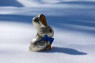 The joy of Easter overcomes the anger of winter