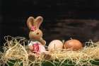 Beyond bunnies, chocolate eggs