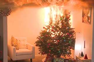 Dry Christmas trees can catch fire and cause immense damage in seconds. 
