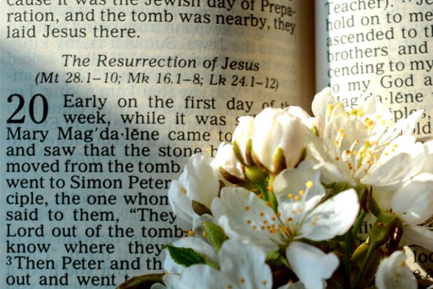 Toward the new joy of Easter