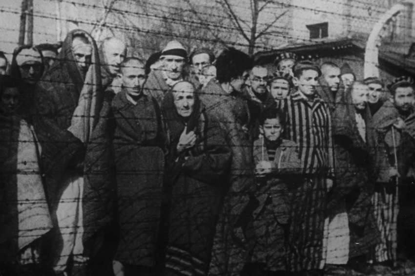 Men, women and children are seen behind barbed wire after the liberation of the Nazi death camp Auschwitz-Birkenau in 1945.
